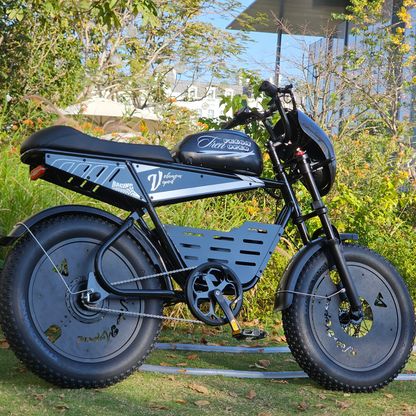 Aipas®V1 Velo Moped
