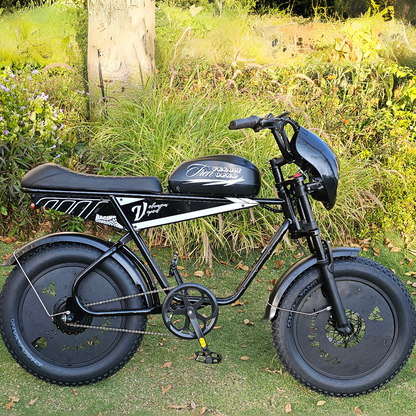 Aipas®V1 Velo Moped